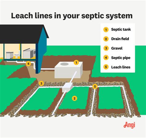 leach lines diagram